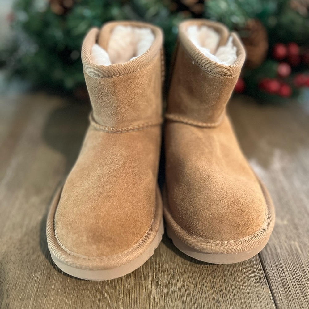 UGG Chestnut Suede Boots with Plush Lining